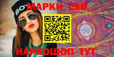 МДПВ Камышлов