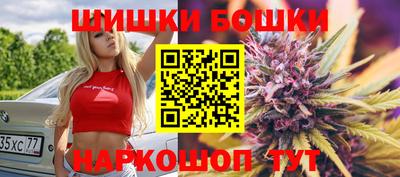 МДПВ Камышлов