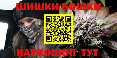МДПВ Камышлов
