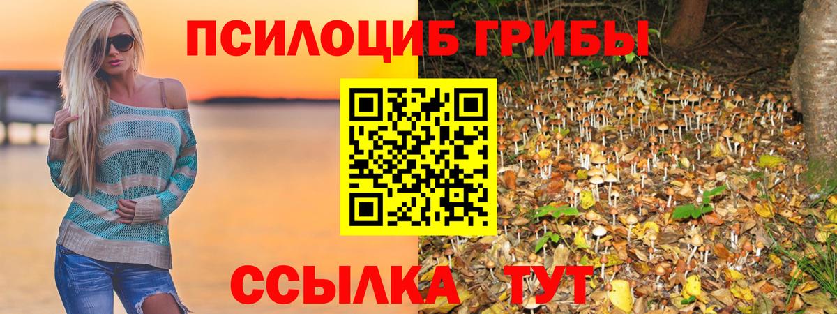 Красноярск  Псилоцибиновые грибы мицелий  Галлюциногенные грибы GOLDEN TEACHER  Вход с VPN 
